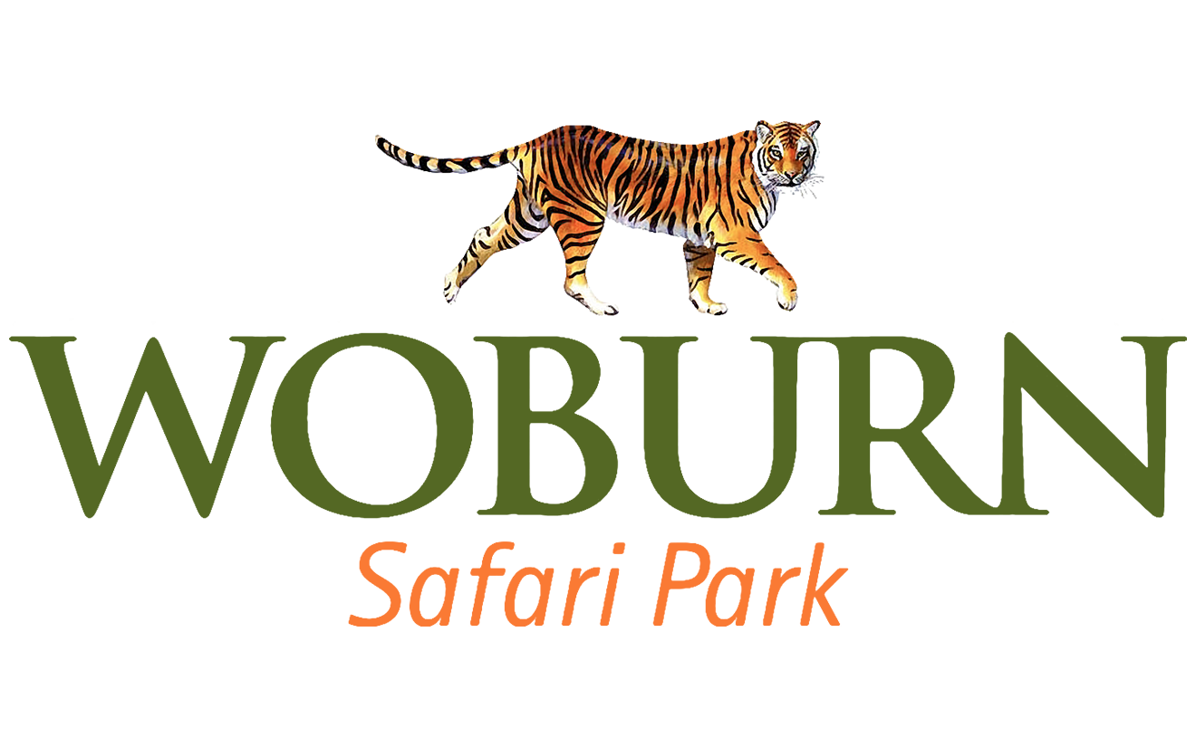 woburn safari park about